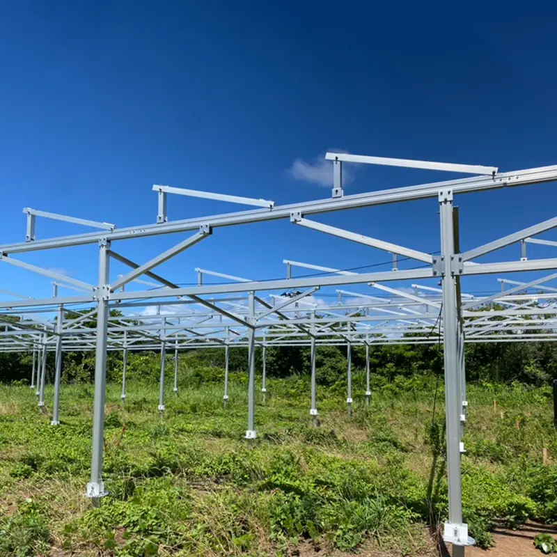 Fazendas solares: futuras estrelas da energia verde